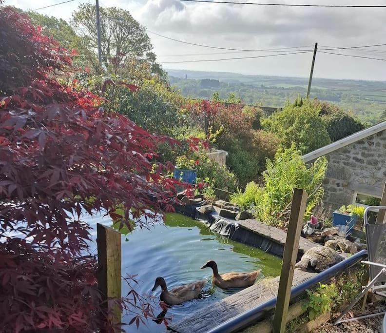 Cosy Cornish Cabin St Austell Esterno foto