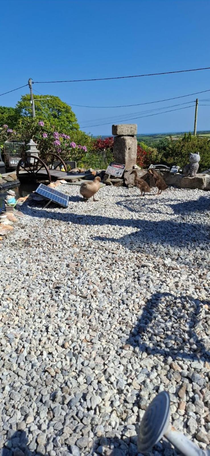 Cosy Cornish Cabin St Austell Esterno foto